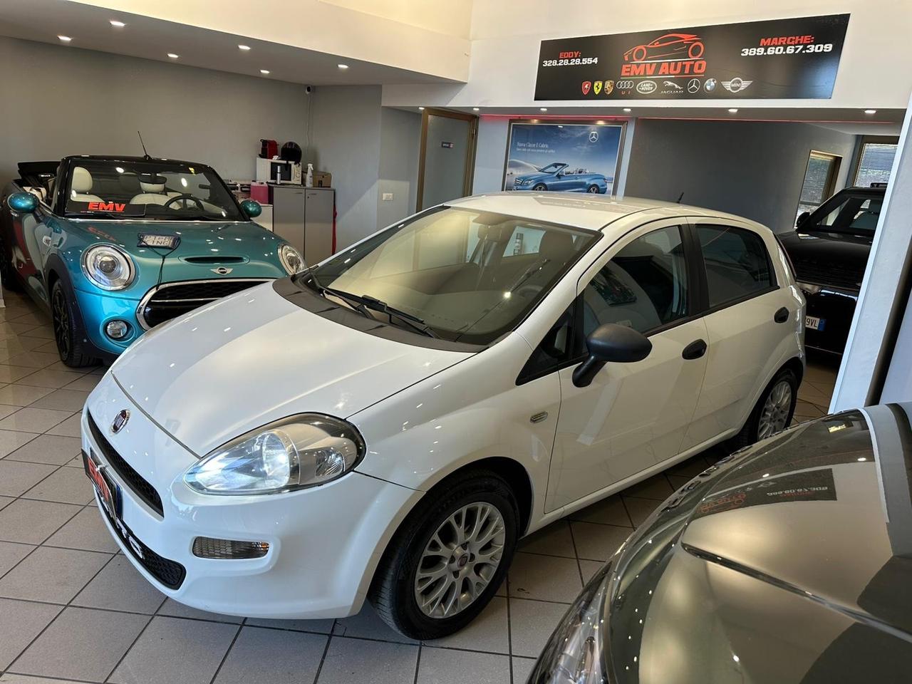Fiat Punto 1.3 MJT II 75 CV 5 porte Street ok neopatentati
