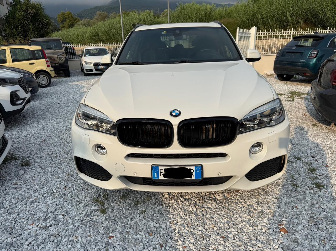 Bmw X5 sDrive25d Luxury