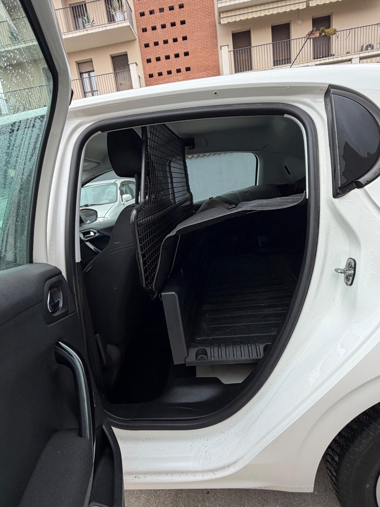 Peugeot 208 BlueHDi 100 S&S 5 porte Van Active