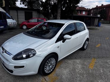 Fiat Punto Evo 1.3 Mjt 75 CV 5 porte neopatentato
