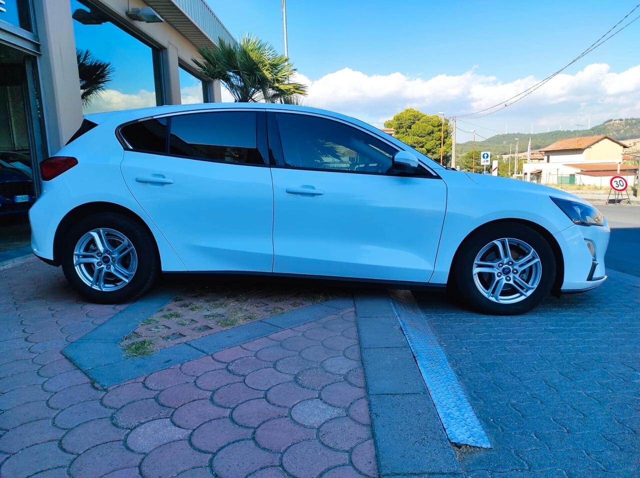 Ford Focus 1.5 EcoBlue 120 CV 5p. Business