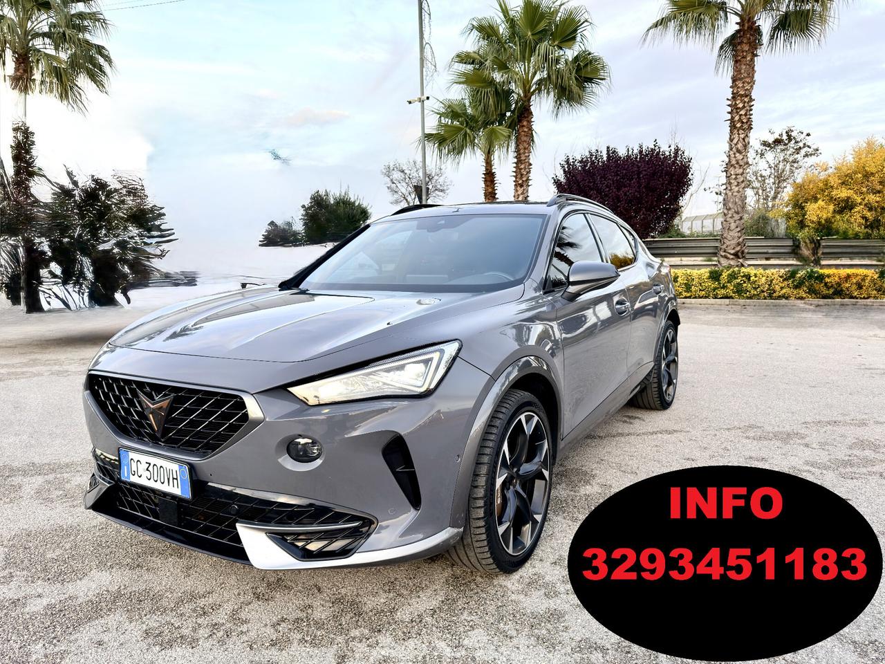 Cupra Formentor 2.0 TSI 310cv 4Drive DSG VZ Launch Edition