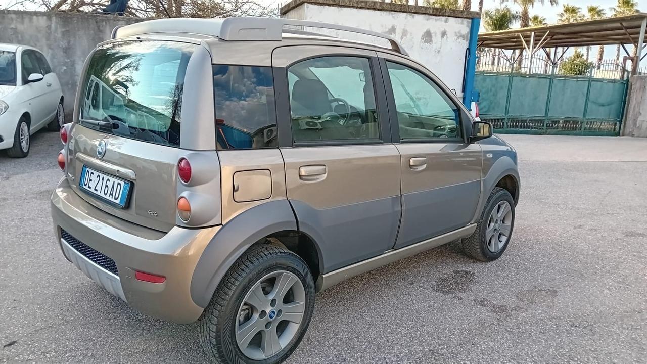 Fiat Panda cross 4 × 4-1.3 mjt-2007