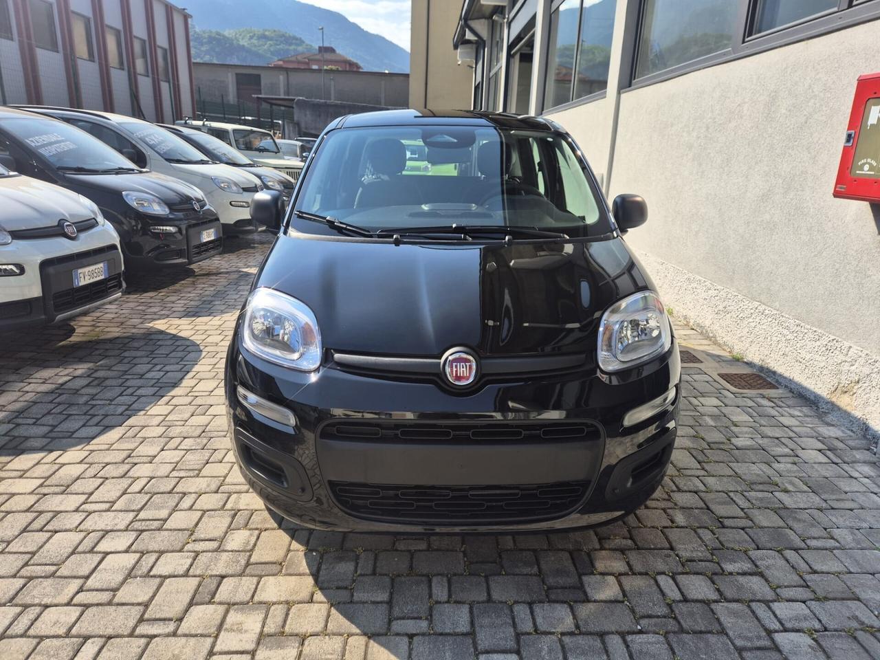 Fiat Panda Pandina 1.0 FireFly 70 CV Hybrid Pop