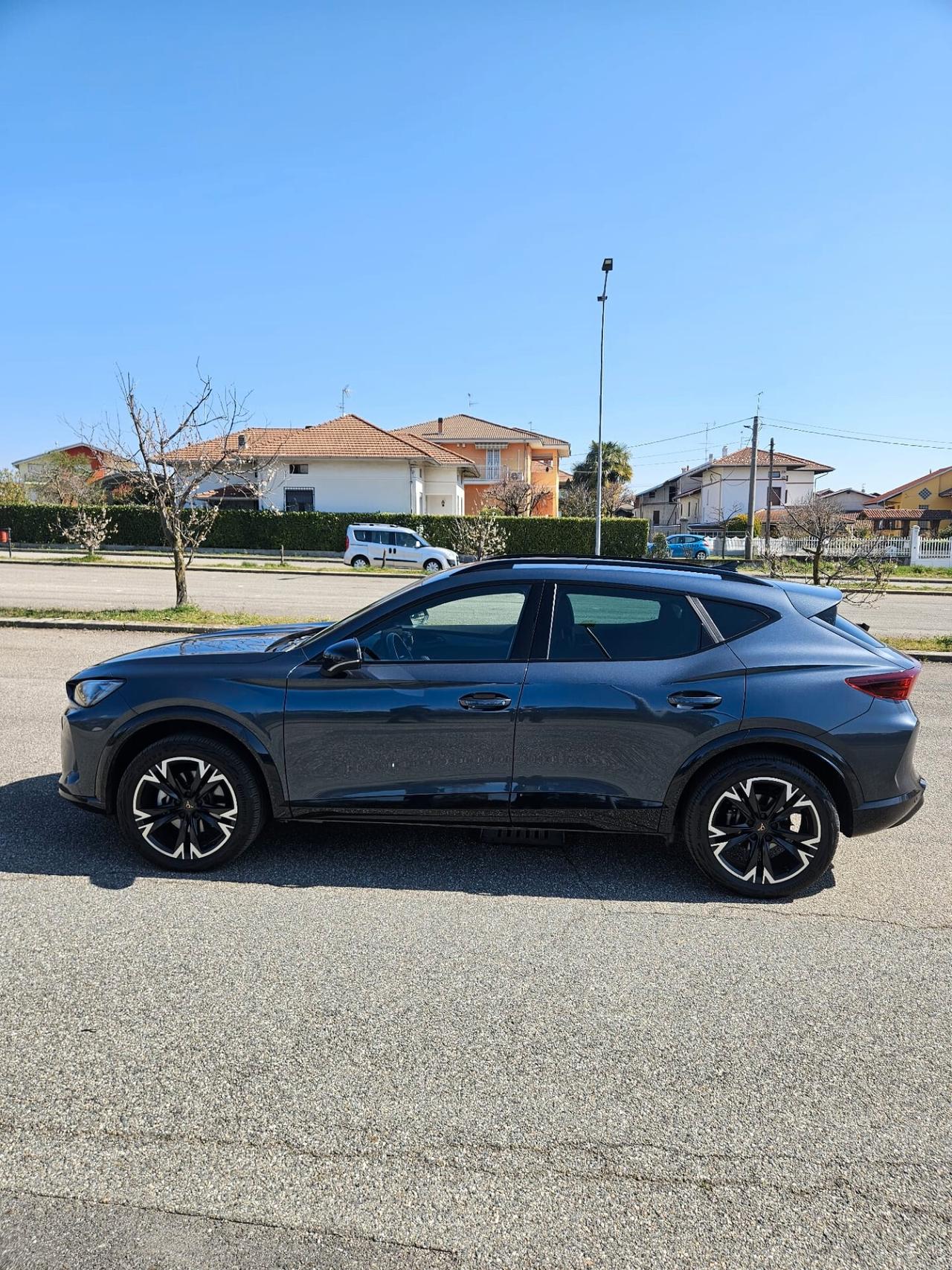 Cupra Formentor 2.0 TDI DSG