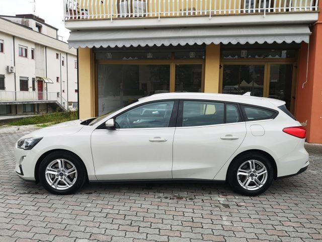 FORD Focus 1.5 EcoBlue 120 CV automatico SW Business Co-Pilot