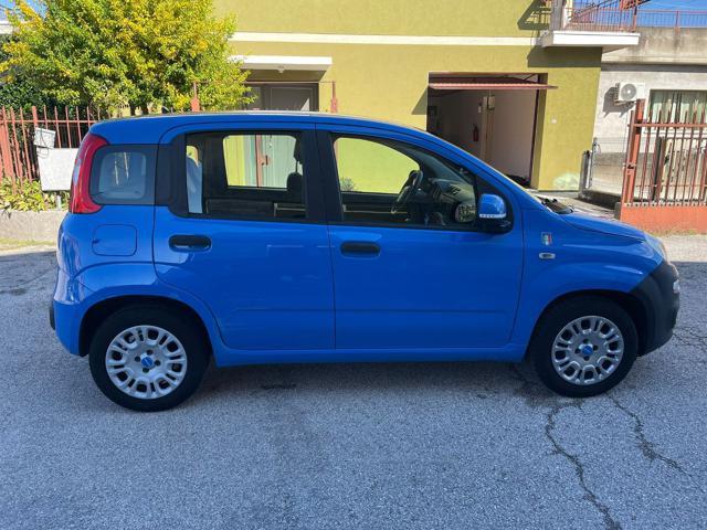 FIAT Panda 1.2 Pandazzurri NEOPATENTATI