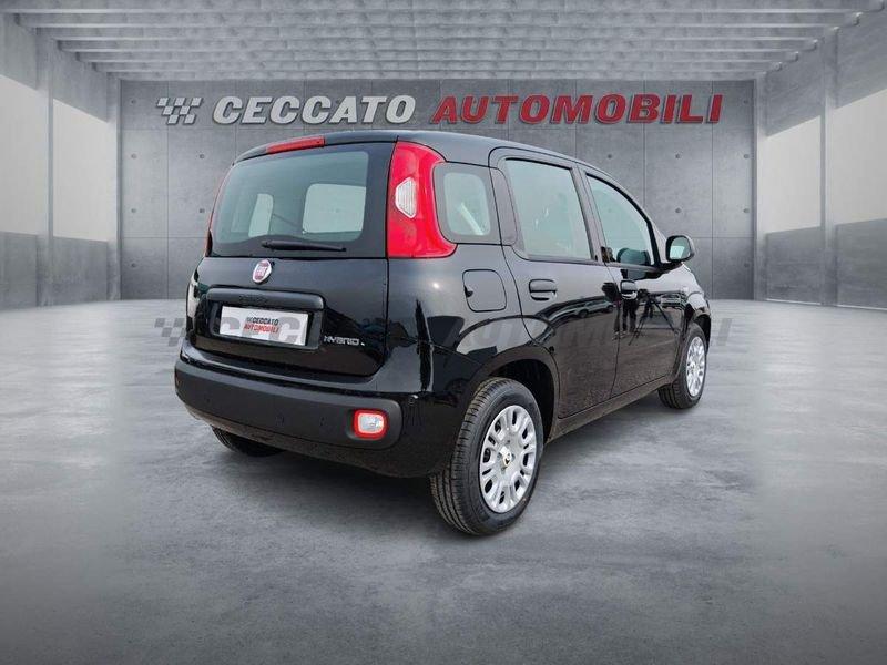 FIAT Panda Panda 1.0 firefly hybrid s&s 70cv