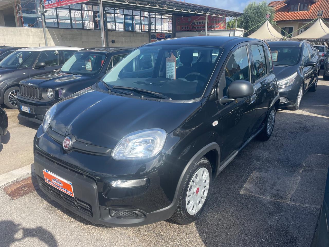 FIAT PANDA 1.2 GPL 69 (CV) 2023