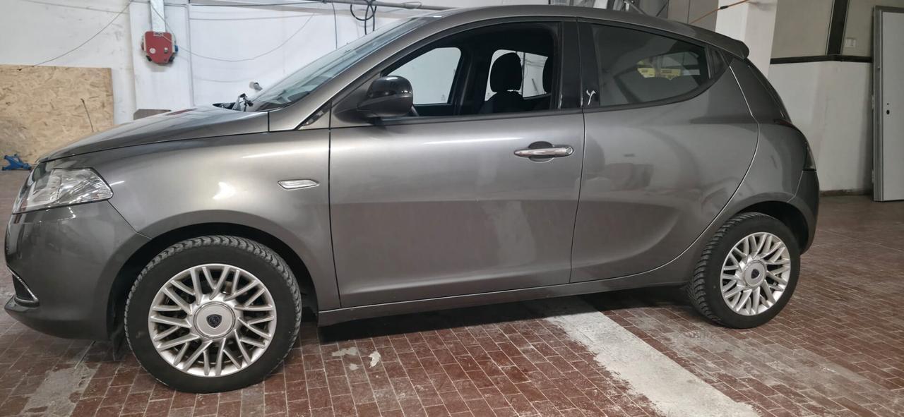 Lancia Ypsilon 1.3 MJT 16V 95 CV 5 porte S&S Platinum