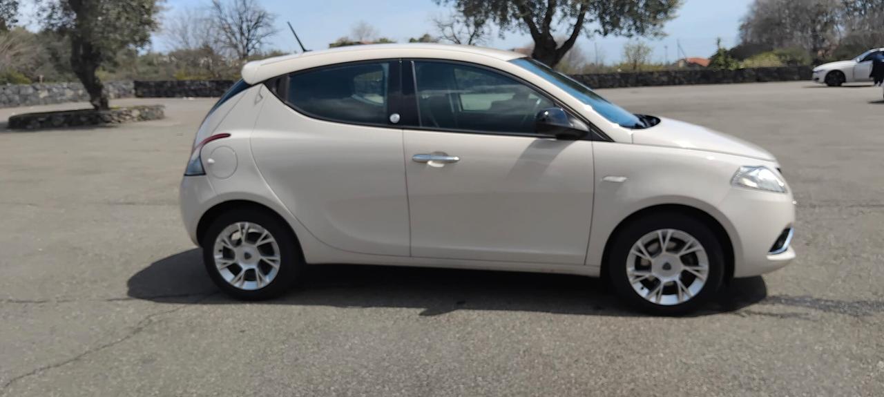 Lancia Ypsilon 1.3 MJT 16V 95 CV 5 porte S&S Gold