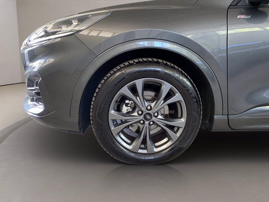 FORD Kuga 2.0 ecoblue ST-Line 2wd 120cv auto del 2024