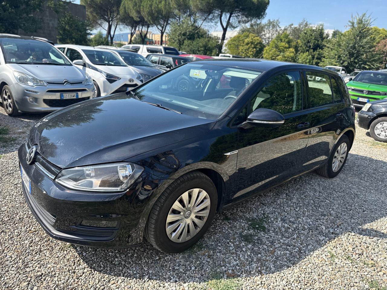 Volkswagen Golf 1.4 TGI 5p. Trendline BlueMotion