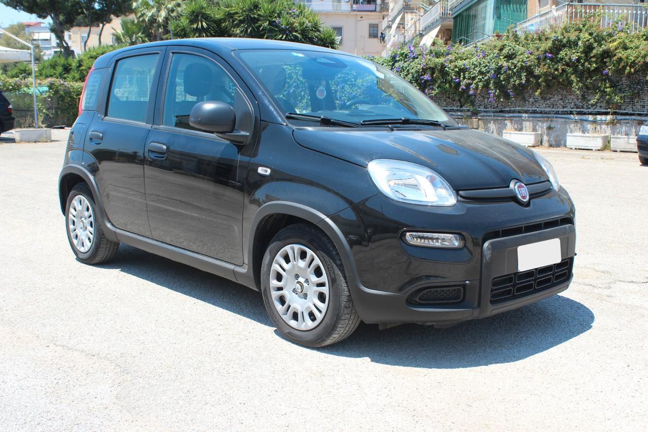 Fiat Panda 1.0 FireFly S&S Hybrid Pandina