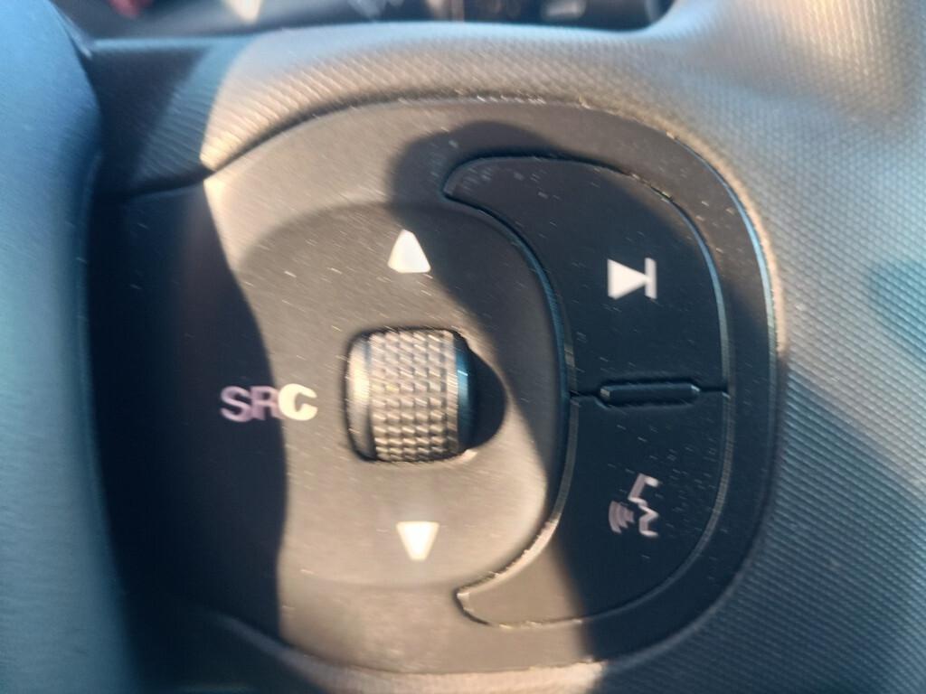 Fiat Panda Cross 1.0 FireFly 70CV Hybrid