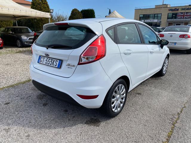FORD Fiesta 1.5 TDCi 75CV 5 porte Business