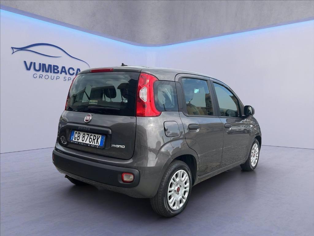 FIAT Panda 1.0 hybrid Easy s&s 70cv del 2020
