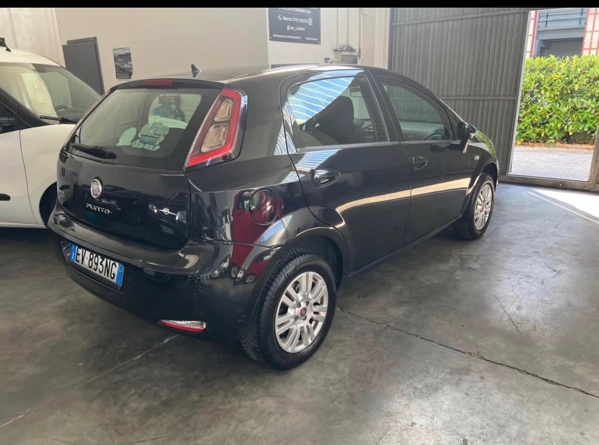 Fiat Punto 1.4 8V 5 porte Natural Power Lounge