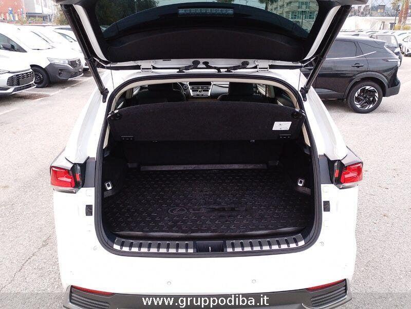 Lexus NX I 2018 300h 2.5 Luxury 4wd cvt