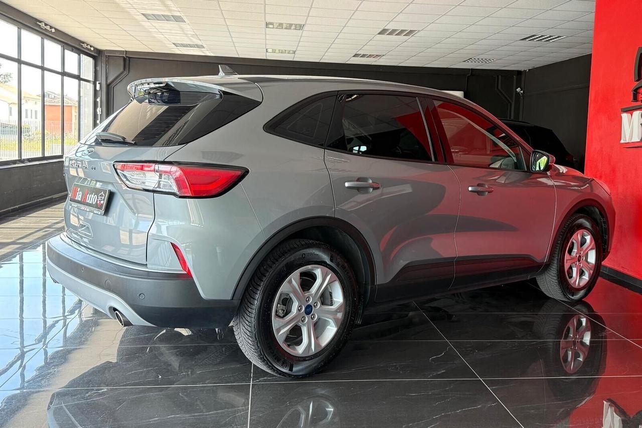 Ford Kuga 1.5 EcoBlue 120 CV aut. 2WD Titanium Business