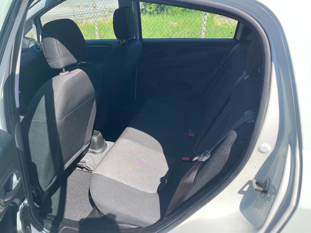 FIAT Punto 1.2 8V 5 porte Young