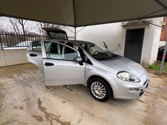 FIAT Punto 1.2 8V 5 porte Street POCHI CHILOMETRI EURO 6