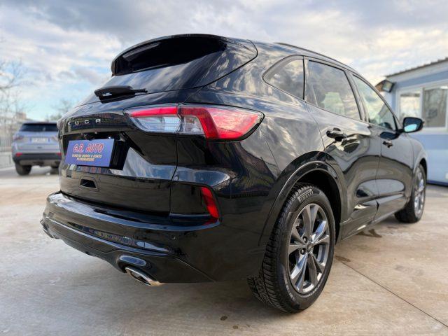 FORD Kuga 1.5 EcoBlue ST-Line GARANZIA