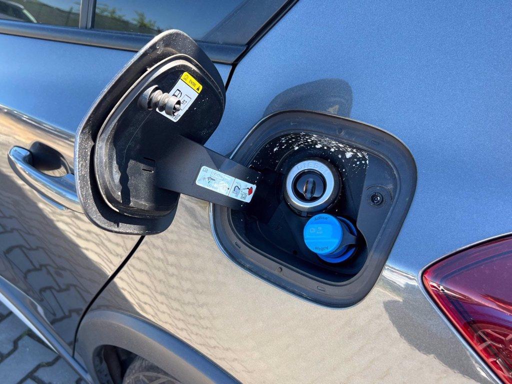FORD Focus 1.5 EcoBlue 115 CV automatico 5p. Active del 2023