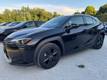 Lexus UX 250H 2.0 Hybrid 145Cv Design 2WD