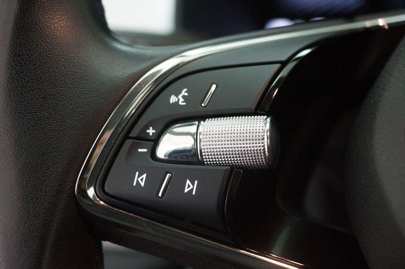 Skoda Kodiaq Kodiaq 2.0 TDI EVO SCR 4x4 DSG 7 posti Executive