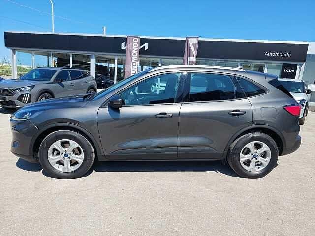 Ford Kuga 1.5 EcoBlue 120 CV 2WD Titanium Business