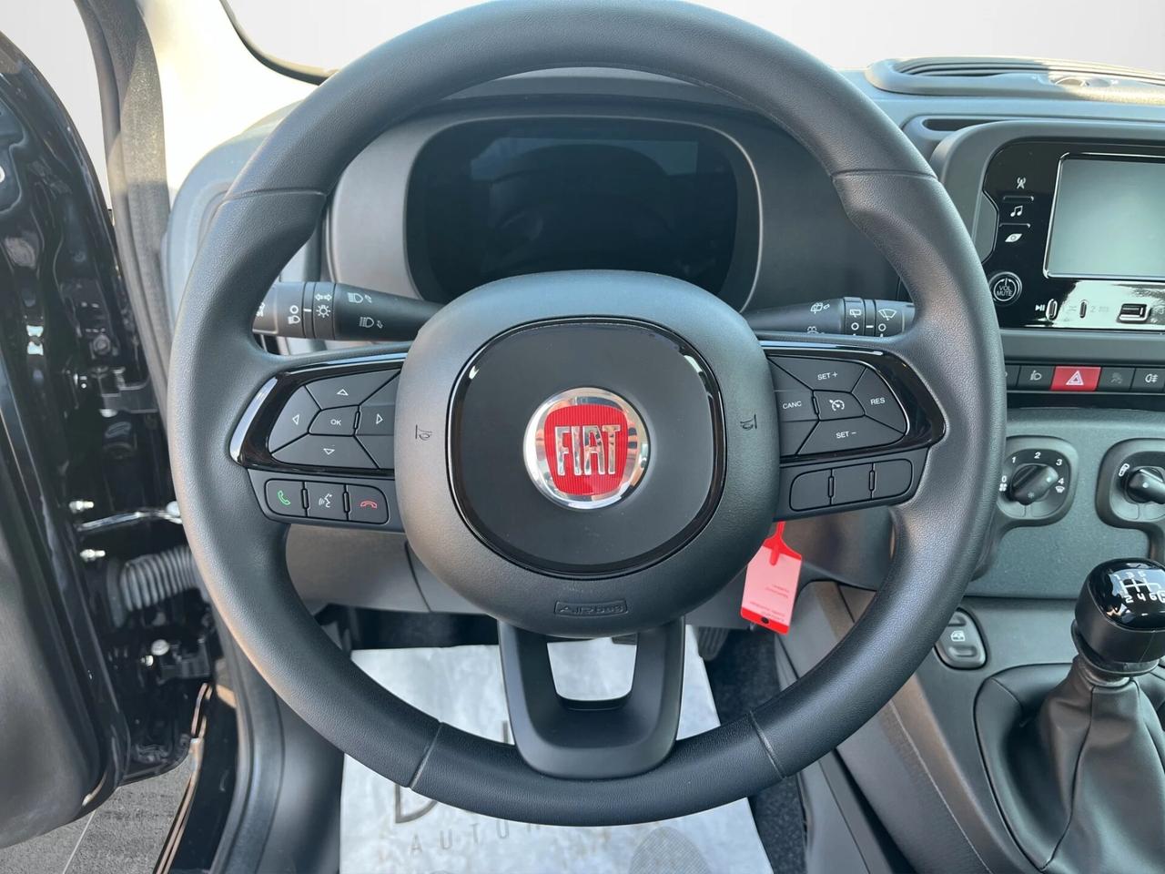 Fiat Panda Pandina 1.0 FireFly 65 CV Hybrid Icon