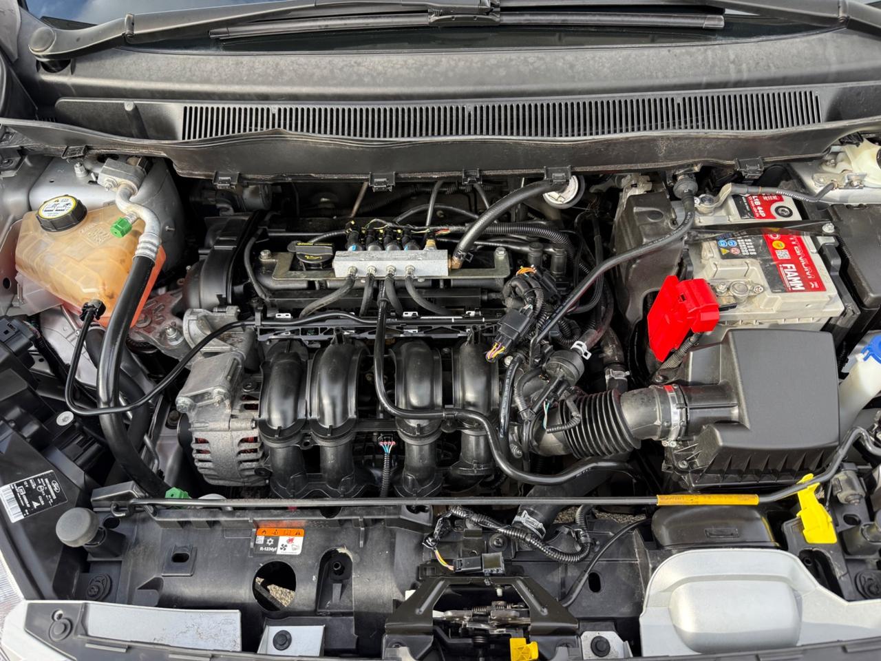 Ford B-Max 1.4 90 CV GPL Titanium