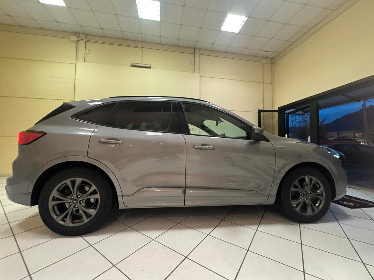 Ford Kuga 1.5 EcoBlue 120 CV aut. 2WD ST-Line X