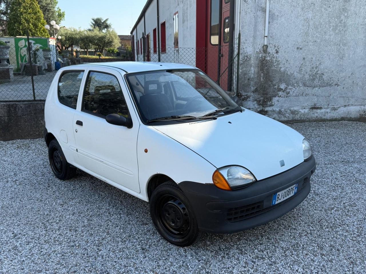 Fiat Seicento 900i cat Young