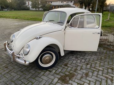 Volkswagen Maggiolino 6V