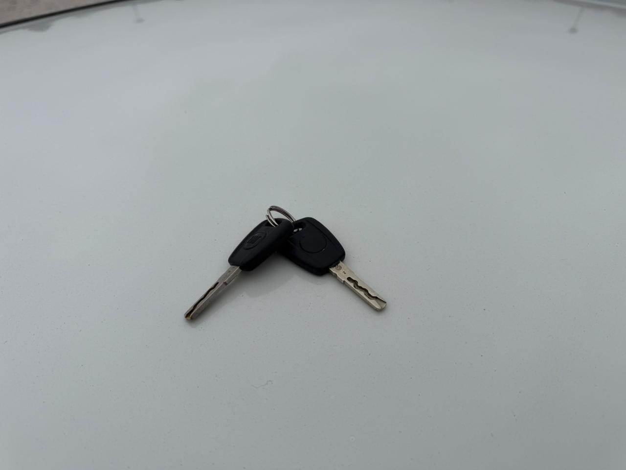 Fiat Punto Classic 1.2 5 porte Active GPL