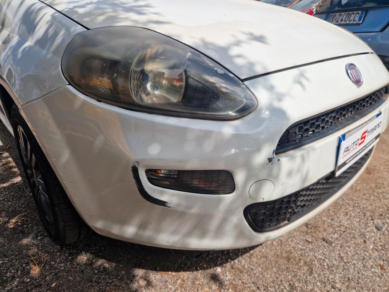 Fiat Punto 1.3 MJT 75 CV 5 porte Lounge-2014