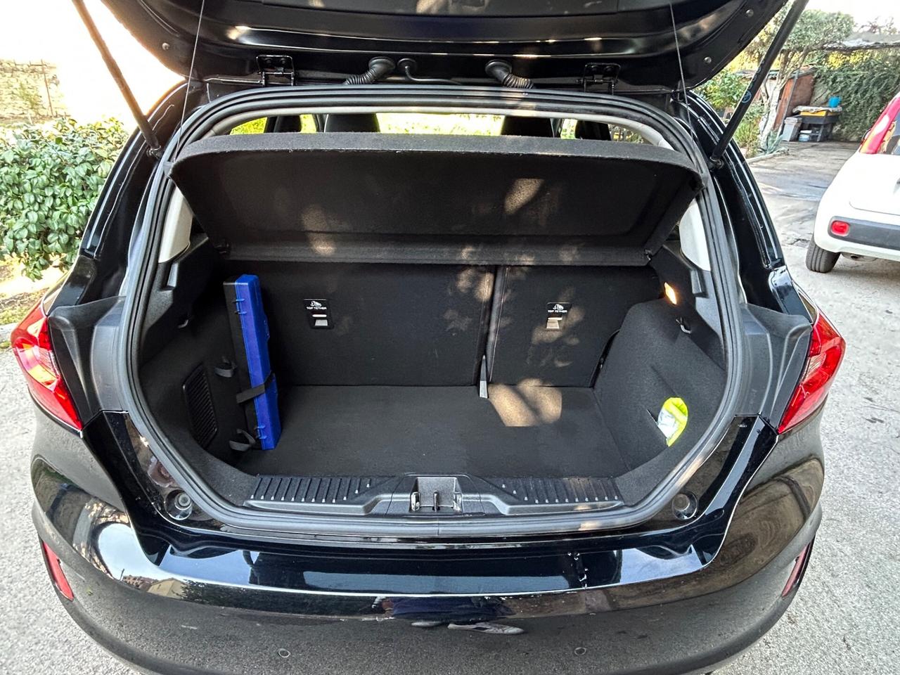 Ford Fiesta 1.5 EcoBlue 5 porte Vignale