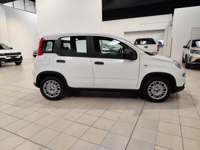 FIAT Panda 1.0 FireFly S&S Hybrid RED