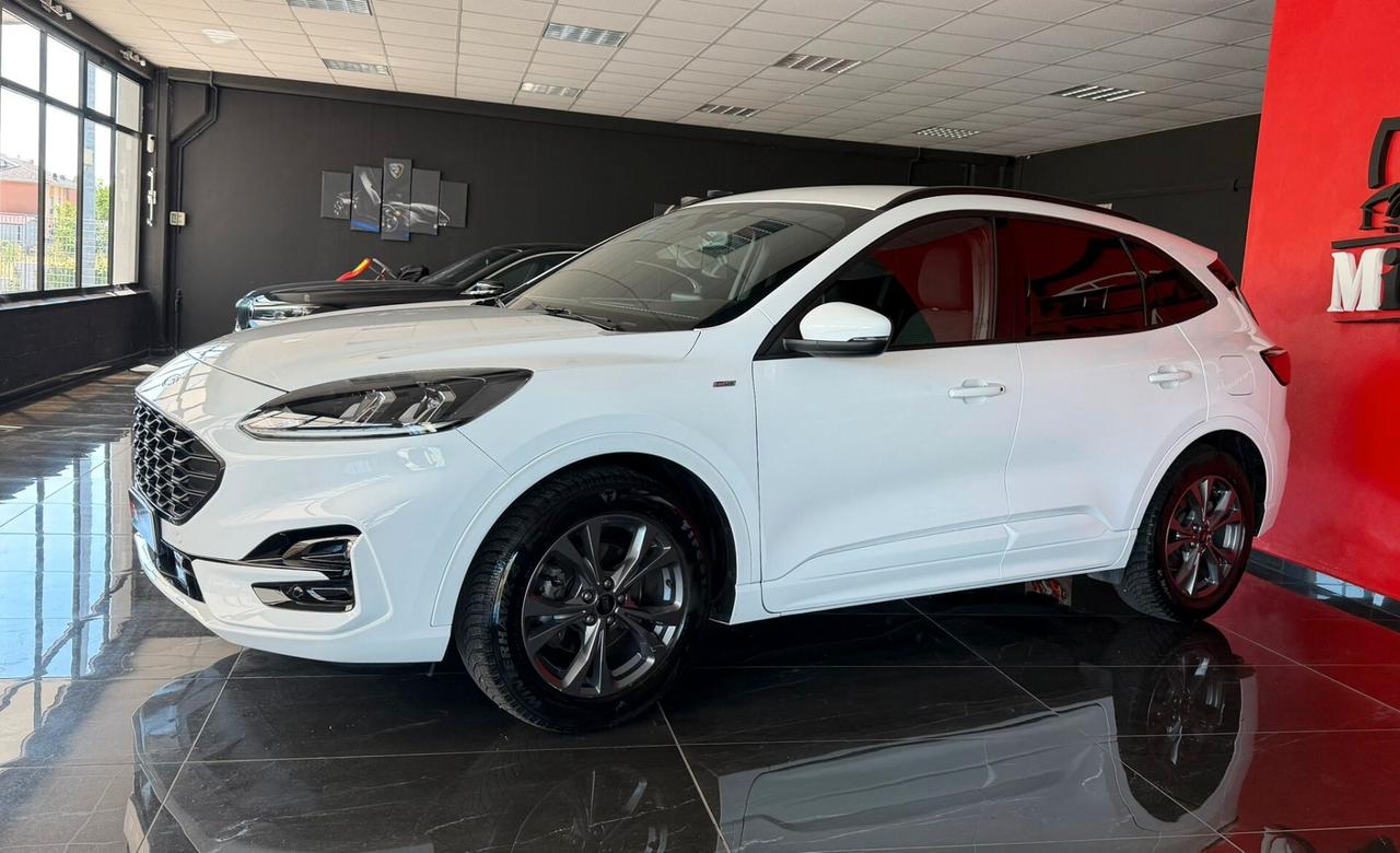 Ford Kuga 1.5 EcoBlue 120 CV aut. 2WD ST-Line Design