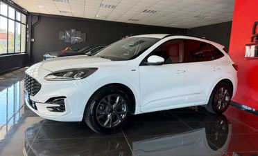 Ford Kuga 1.5 EcoBlue 120 CV aut. 2WD ST-Line Design