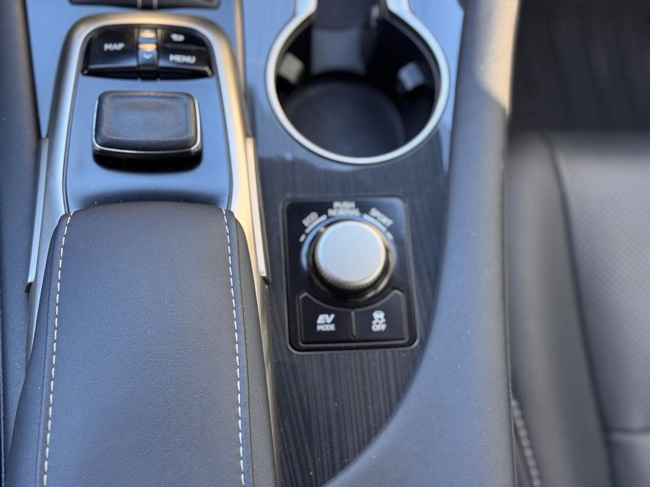 Lexus RX 450h Luxury RX 450h HEV #10586