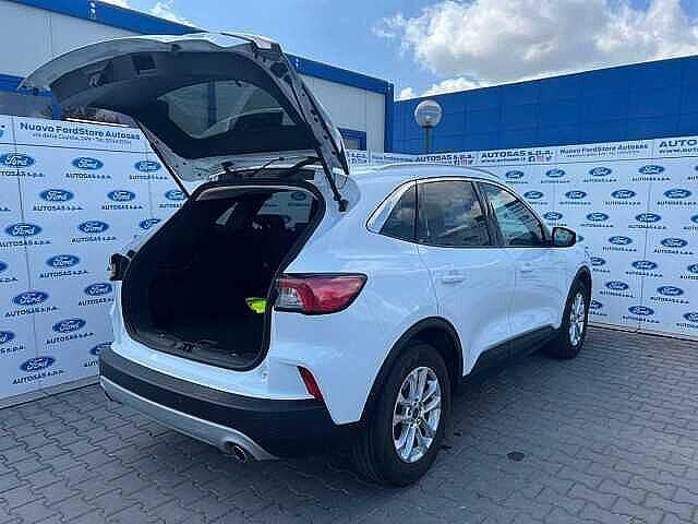 Ford Kuga 1.5 EcoBlue 120 CV 2WD Titanium Business