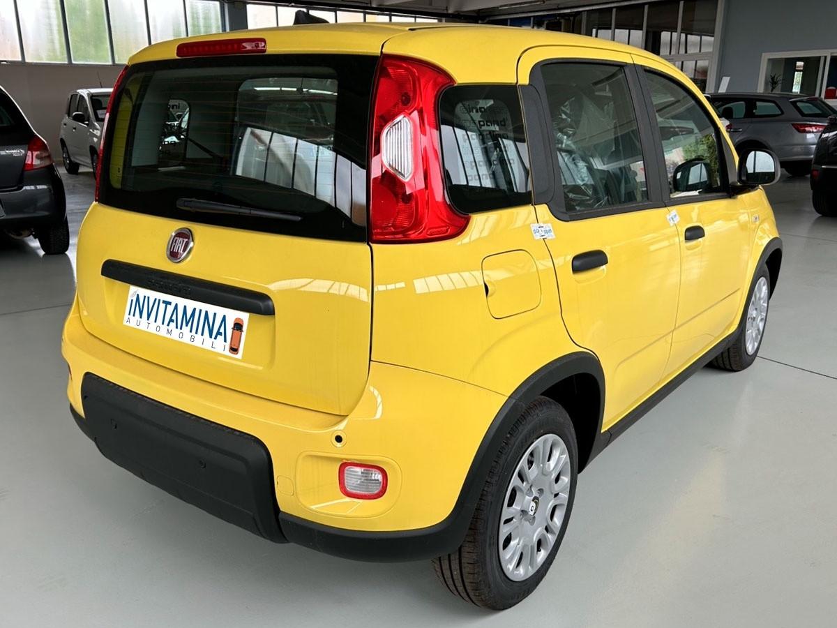 Fiat Panda 1.0 FireFly S&S Hybrid Urban Look