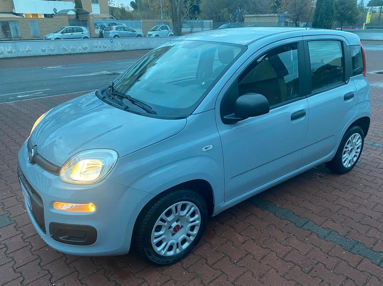 FIAT PANDA EASY 1.2cc IDONEA NEOPATENTATI