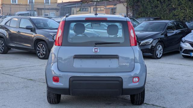 FIAT Panda HYBRID CITYLIFE 1.0cc 70cv