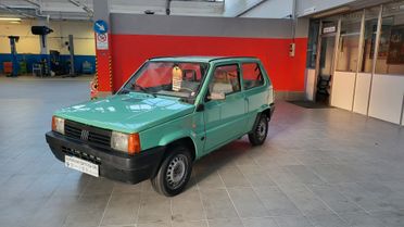 Fiat Panda 900 i.e. cat Young