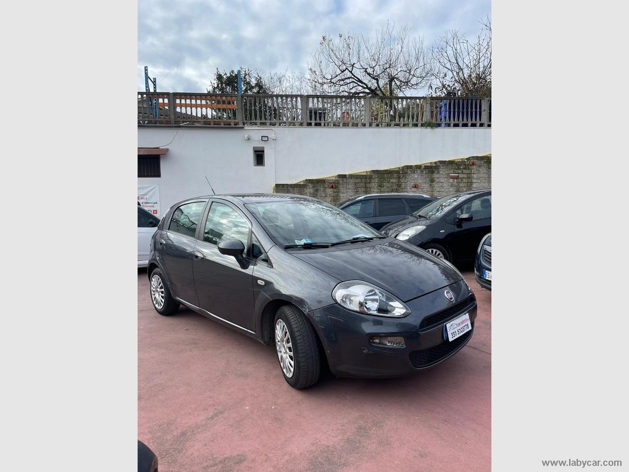 FIAT Punto 1.2 8V 5p. Pop FIAT PUNTO BENZINA