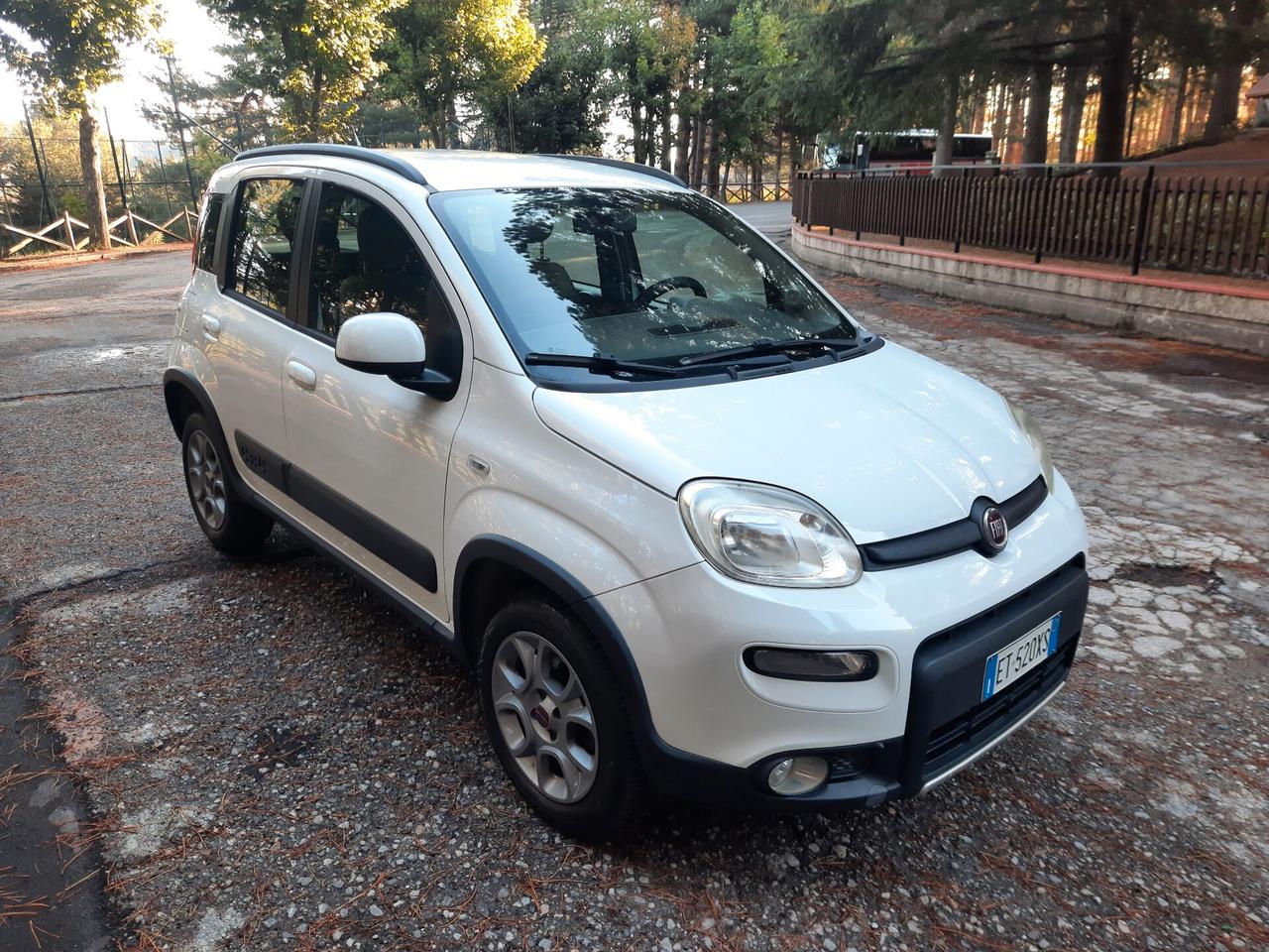 FIAT PANDA 4X4 ANTARTICA 75 CV